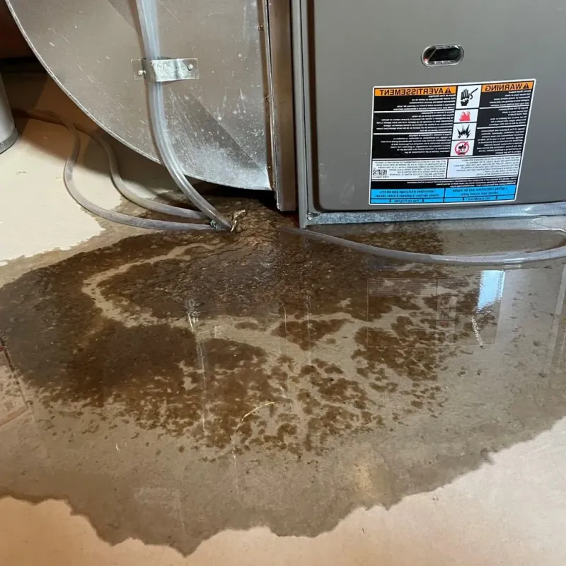 Pipe Burst and Leak Restoration in Bradford, RI