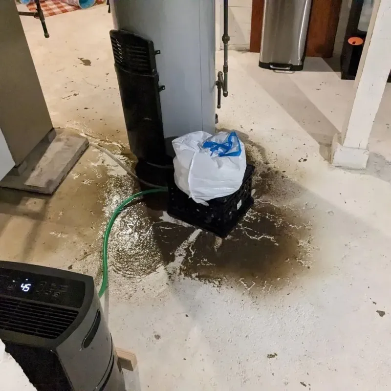 Sewage Backup Cleanup Service in Bradford, RI